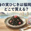 梅の実ひじきは福岡のどこで買える？販売店を調査