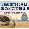 梅の実ひじきは大阪のどこで買える？販売店と値段を調査