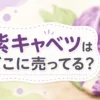 紫キャベツはどこに売ってる？販売店と代用野菜５つ