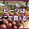 ビーツの販売店と値段