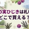 梅の実ひじきの札幌の販売店
