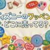 ディズニーのワッペンはどこに売ってる？販売店と大きいワッペンも調査